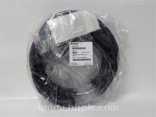 FOXBORO P0916WG 控制处理器模块 I/A Series系统 现货