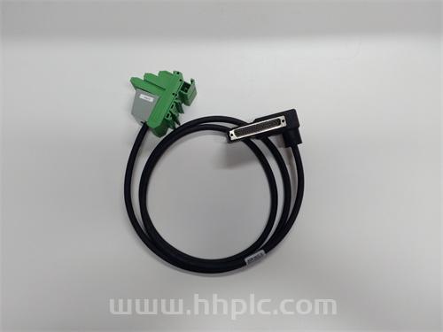 TRICONEX 2402  模拟量输入/输出模块  全新现货 原厂直采 优势议价