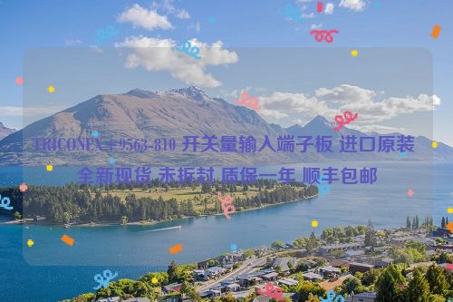 TRICONEX+9563-810 开关量输入端子板 进口原装 全新现货 未拆封 质保一年 顺丰包邮