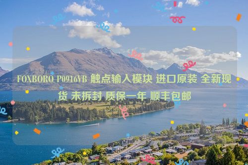 FOXBORO P0916VB 触点输入模块 进口原装 全新现货 未拆封 质保一年 顺丰包邮