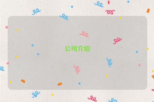 公司介绍