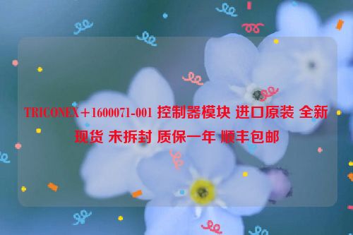 TRICONEX+1600071-001 控制器模块 进口原装 全新现货 未拆封 质保一年 顺丰包邮