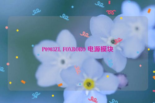 P0903ZL FOXBORO 电源模块